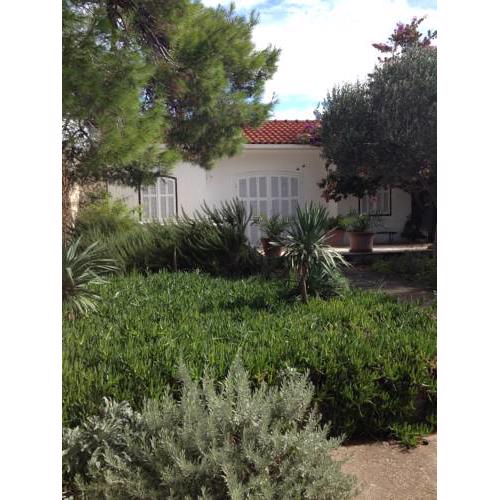 Bougainvillea House