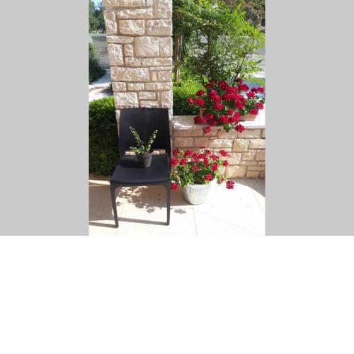 Casa Nora Novigrad