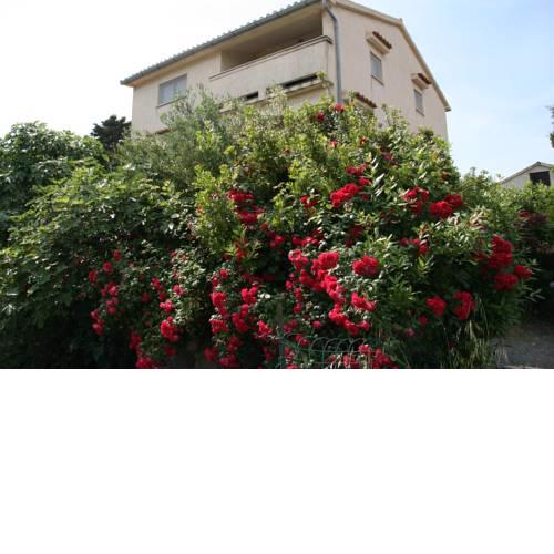 Casina delle Rose