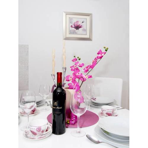 Center Apartment Silvana