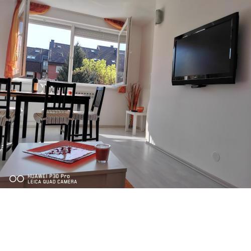 City Lake Pearl #next to lake Jarun#warm#cosy#queit and green neighborhood#working facilities#free parking