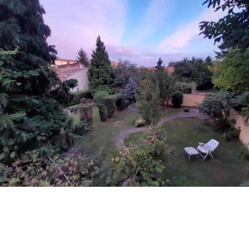 Cocic Garden