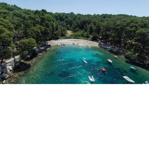 Comfortable Studio flat Oasis in Nerezine Croatia