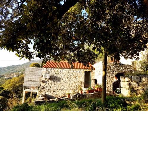 Cottage Melita