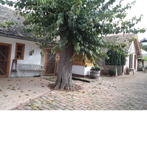 Country House Pod dudom Aljmaš