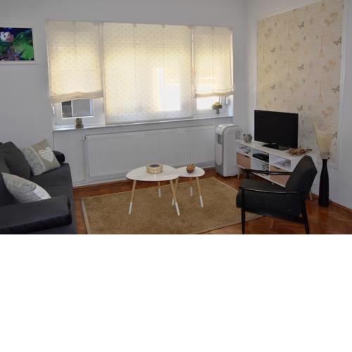 Cousin apartment