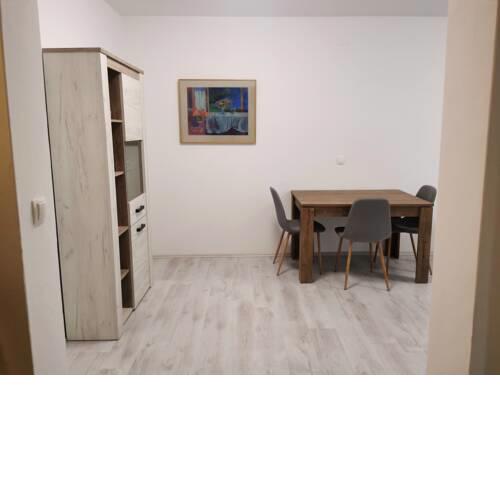 Cozy modern apartment Viktorija