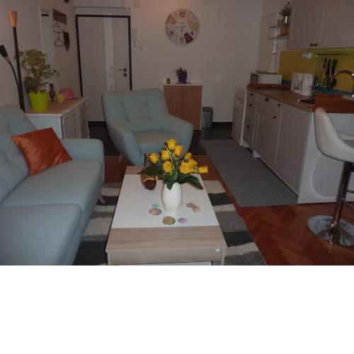 Cozy silver studio apartment