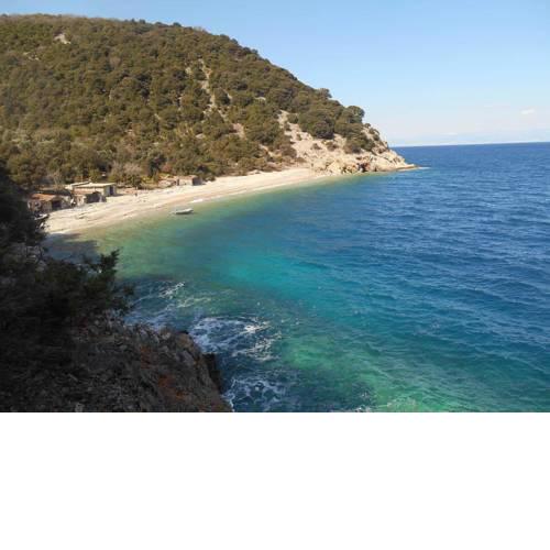 Cres Robinson Experience