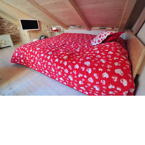 Dalmatian Stonehouse Apartment