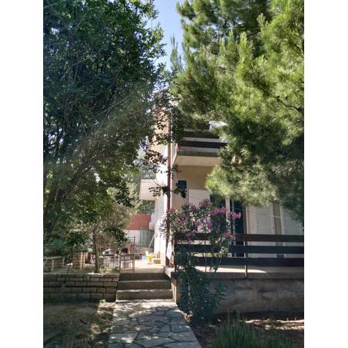 Danica Holiday House