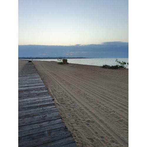 desire4sea