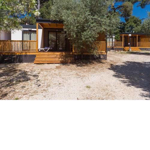 Diana & Josip Mobile Homes
