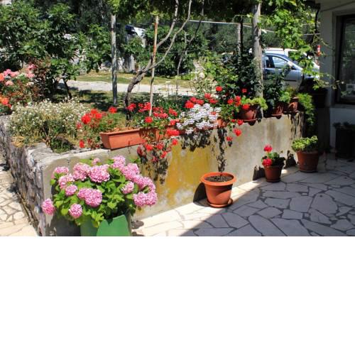 Double Room Sladjenovici 2161f