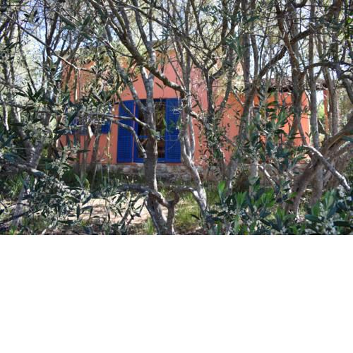 Dove's house