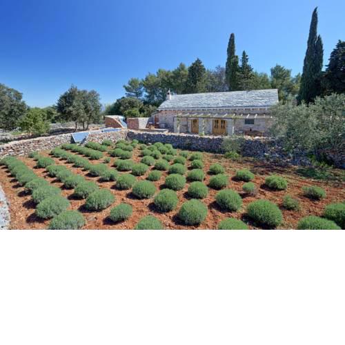 Villa Humac Hvar