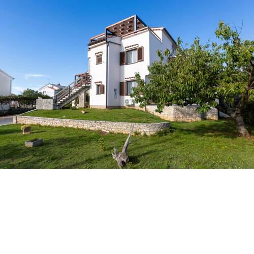 Elvira - Smokva - a48572