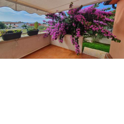 Elysian Homestay Betiga