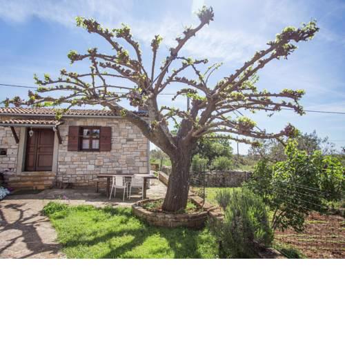 Spacious Holiday Home near Sea in Bale