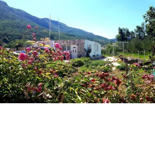 Experience the nature , free private parking