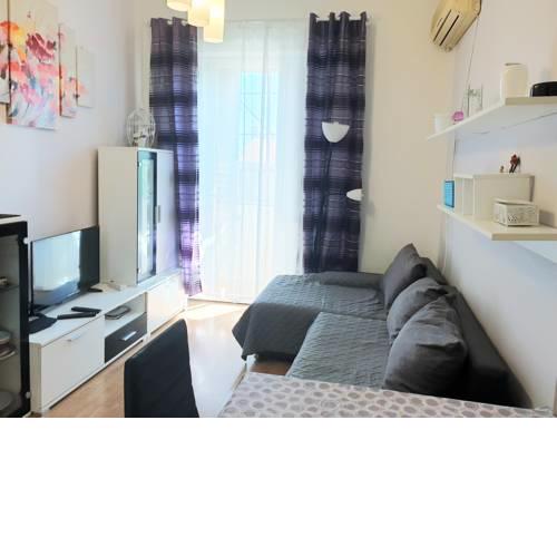 Fami Superior One Bedroom Apartment (2+2)