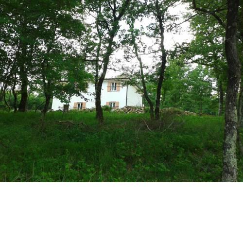 Family friendly house with a swimming pool Montovani (Central Istria - Sredisnja Istra) - 16044