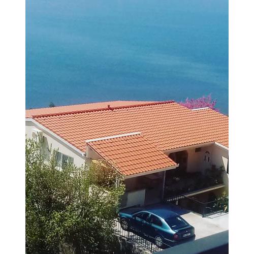 Family house Nikola