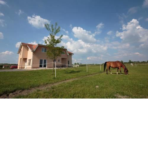 Family Room Bilje 14318a