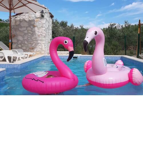 Flamingo house with pool