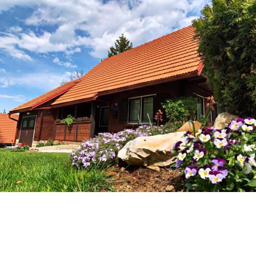 Forest Lodge