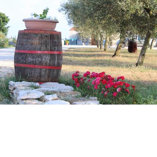 Ghira Winery Apartment