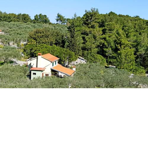 Green Dream House
