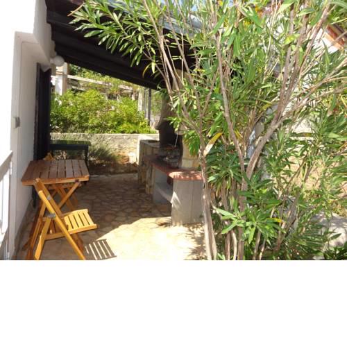 Green garden house Vir