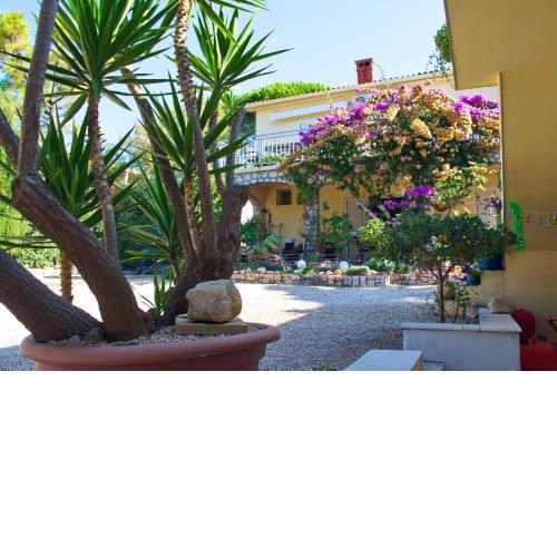 Green Garden Oasis