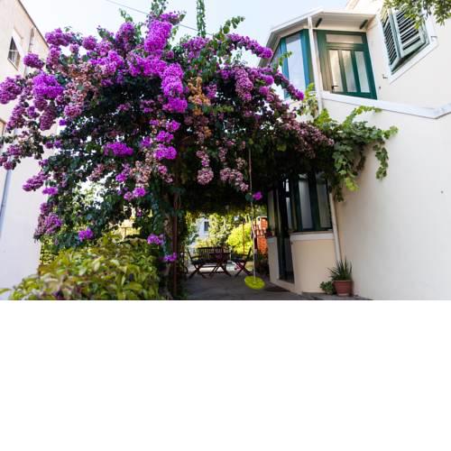 Green Oasis Apartment