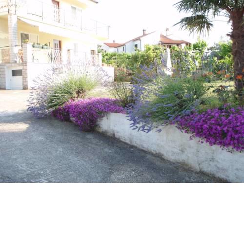 Guest House Jasmin