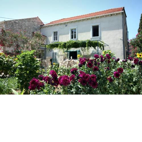 Guest House Katica