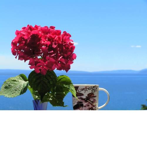 Guest House Lifestyle Holiday