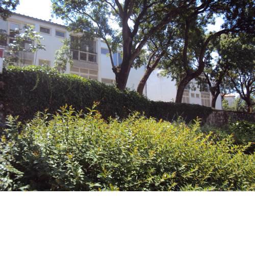 Guest House Morska Grota