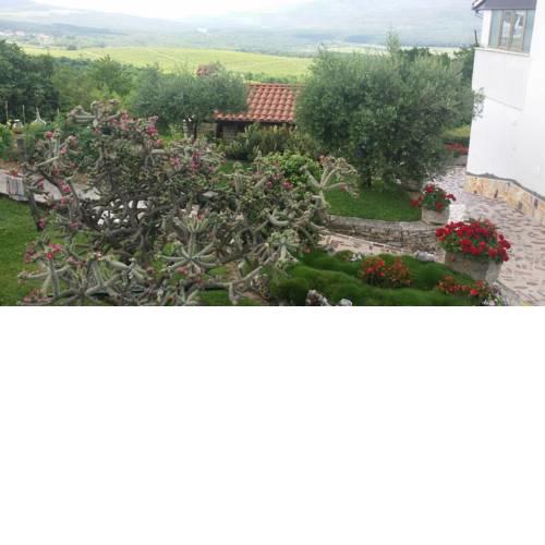 Guest House Nena