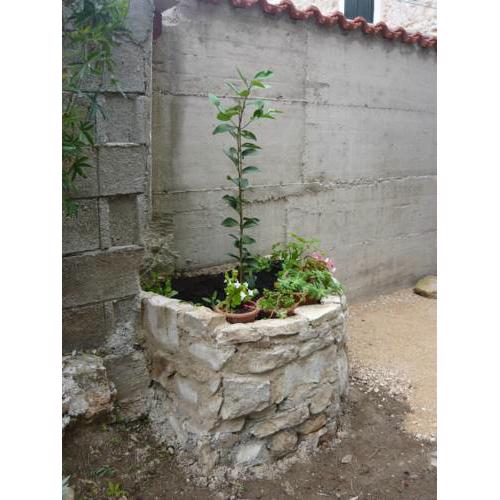 Guest House Oleander