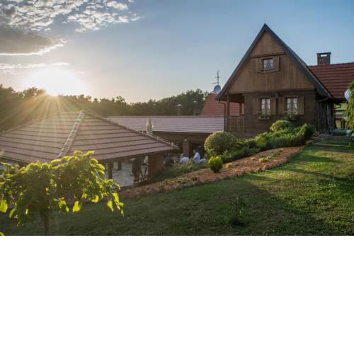 Guest House Repušnička Klet