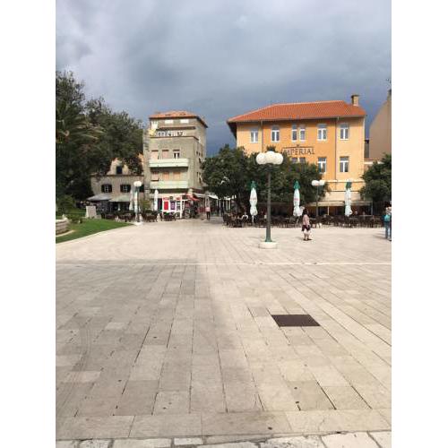 Guest house Ribaric