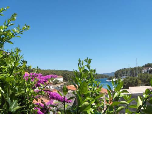 Guest House Roza