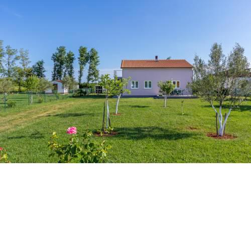 Guest house Una***