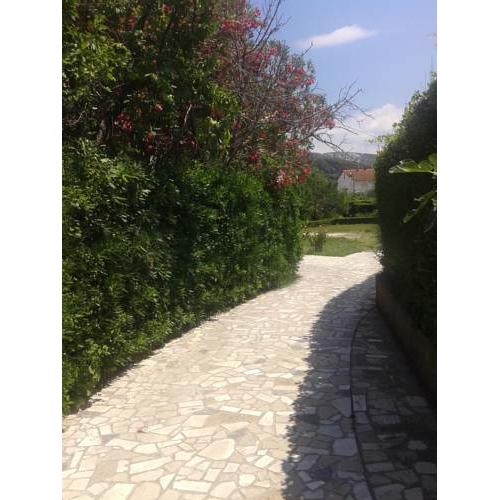 Guest House Venera