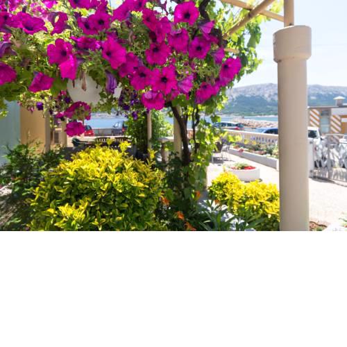 Guest House Villa Baska