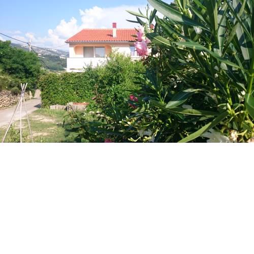 Guest House Violeta