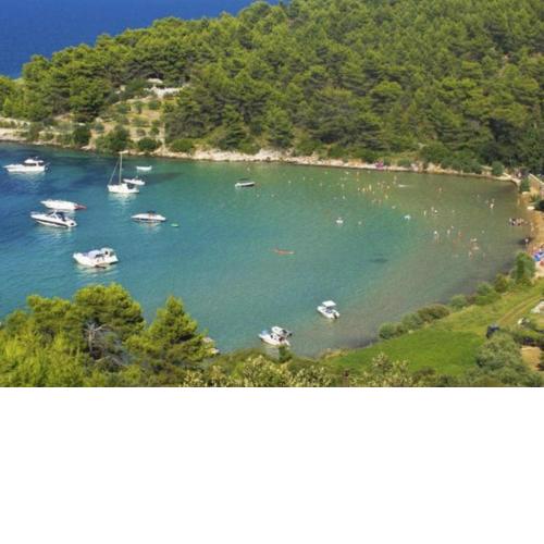 Guesthouse Cvitina