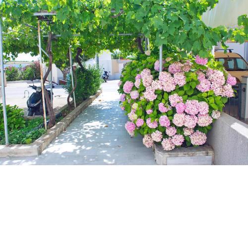 Guesthouse " Katini Dvori "